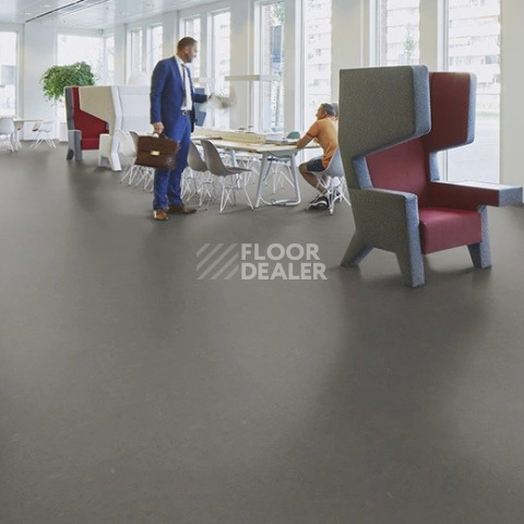 Forbo Marmoleum Decibel 372335 nebula фото 2 | FLOORDEALER